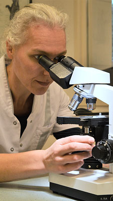 Paraveterinair aan het werk in het laboratorium
